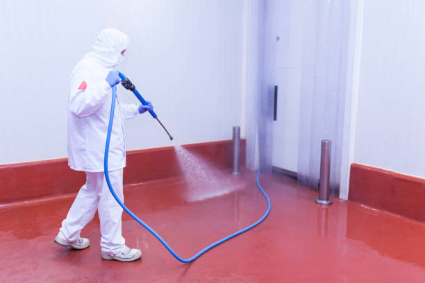 Trusted Spring Lake, NJ Pressure Washing Services Experts